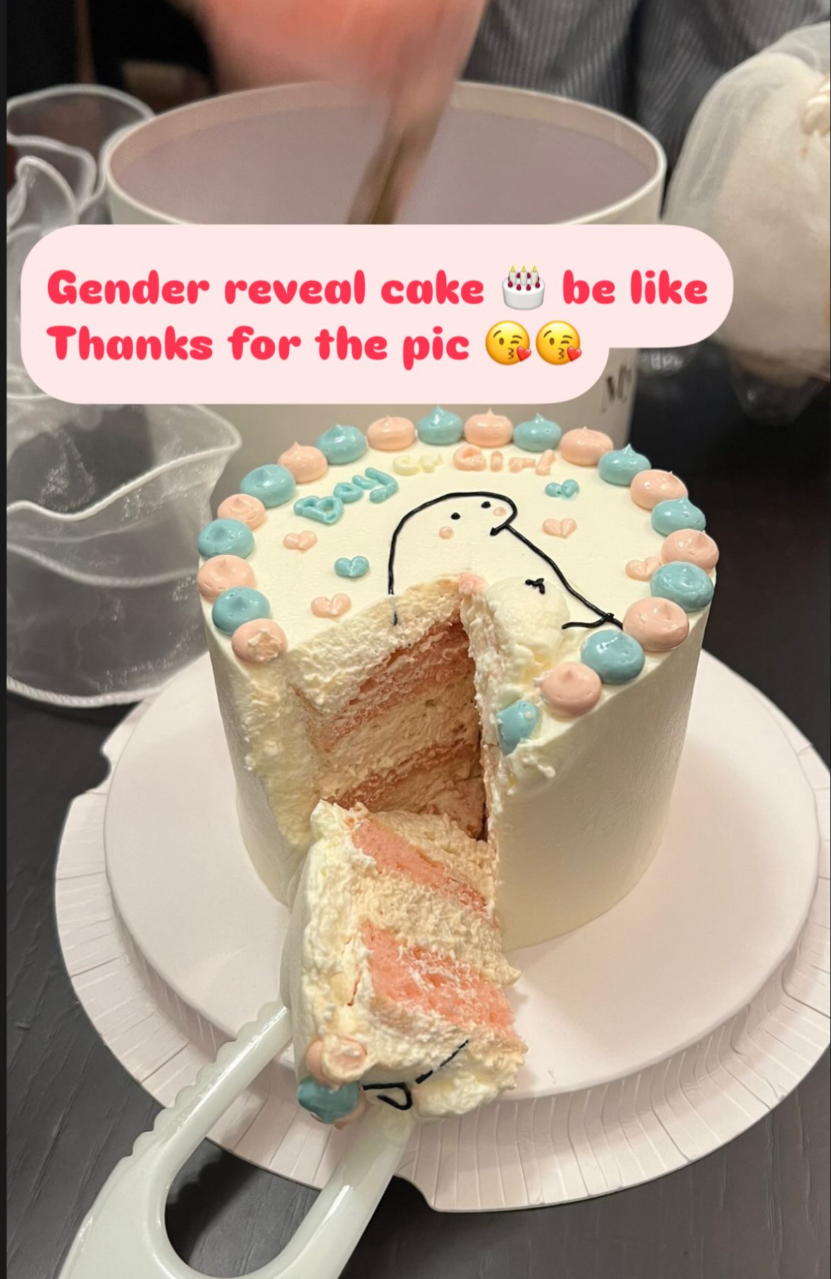 Typical Gender Reveal Cake 性別揭曉蛋糕