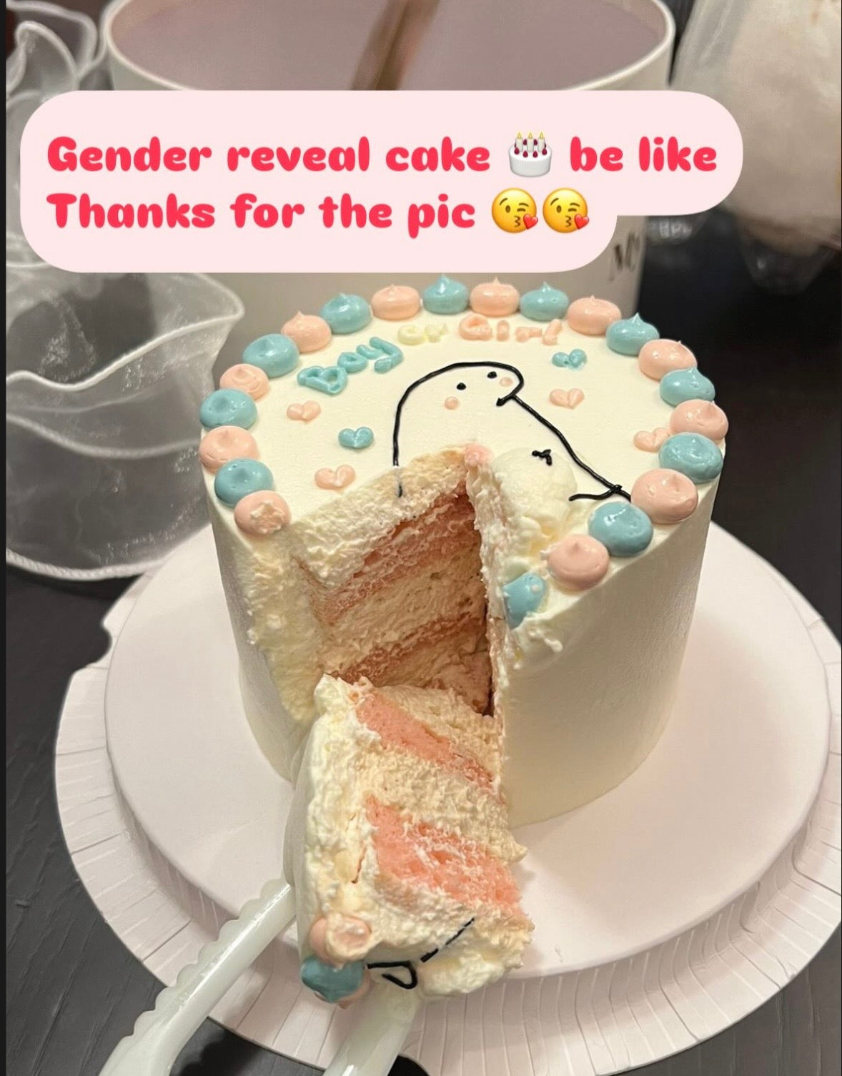 Typical Gender Reveal Cake 2 性別揭曉蛋糕